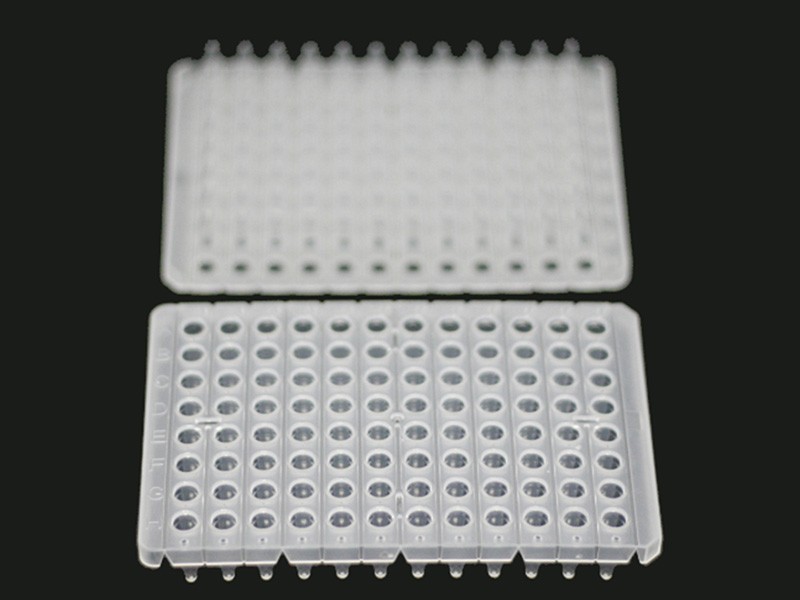 PCR Plakaları 2